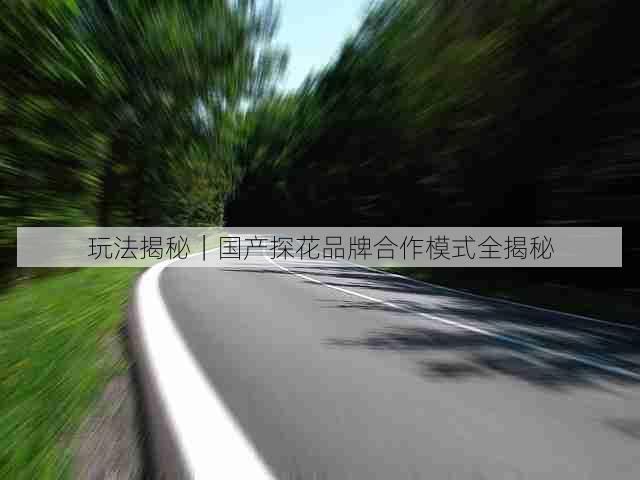 玩法揭秘｜国产探花品牌合作模式全揭秘