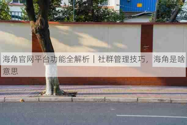 海角官网平台功能全解析｜社群管理技巧，海角是啥意思