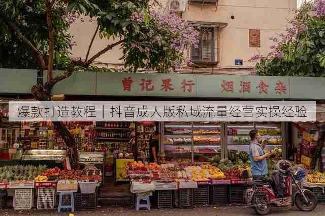 爆款打造教程｜抖音成人版私域流量经营实操经验